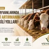 besi hayvanları