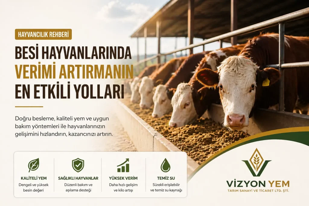 Anasayfa 22 besi hayvanları