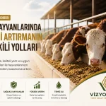 besi hayvanları