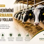 Süt Verimini Artırmak