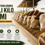 besi hayvanları