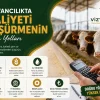 hayvancılıkta maliyet düşürme